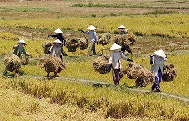 Hotspot Matrix: Chìa khóa vàng cho giáo viên tiếng Anh kiếm thêm thu nhập