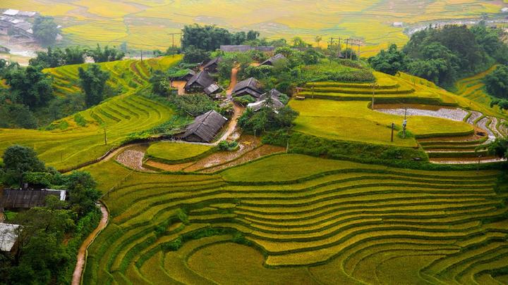 Triệu View Từ Vlog Thú Cưng: Bí Quyết Thành Công Cùng Hotspot Matrix
