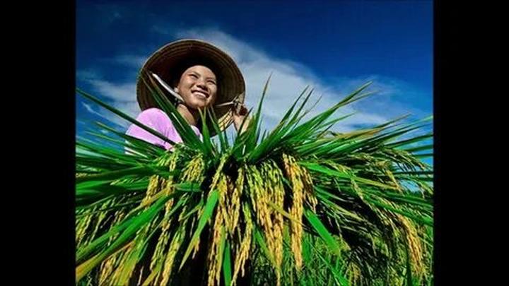 Loại cá được khen